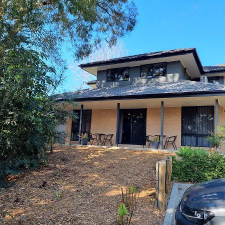 ניוקסטל Blue Wren Lodge Waratah מראה חיצוני תמונה